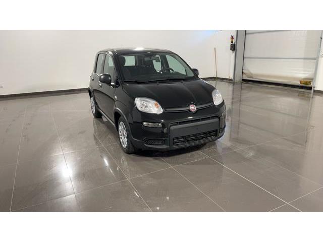 FIAT PANDA PANDINA 1.0 Hybrid_*ROTTAMAZIONE*