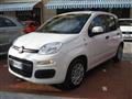 FIAT PANDA 1.2 PANDAZZURRI GPL