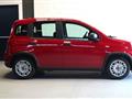 FIAT PANDA 1.0 FireFly S&S Hybrid per neopatentati