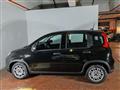 FIAT PANDA 1.0 Hybrid 70cv 36 Rate da 177,95