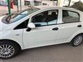 FIAT PUNTO 1.2 8V 5 porte Street