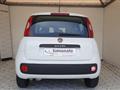 FIAT PANDA 1.3 mjt 16v Easy s&s 95cv