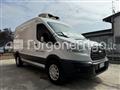 FORD TRANSIT Coibentato Isotermico Frigorifero