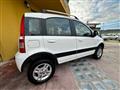 FIAT PANDA 1.2 4x4 Climbing