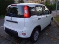 FIAT PANDA 1.0 FireFly S&S Hybrid Pandina