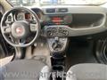 FIAT PANDA 1.2 Easy + GPL