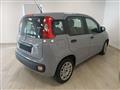 FIAT PANDA 3ª serie 1.0 FireFly S&S Hybrid