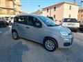 FIAT PANDA 1.2 Easy - 05/2019 - 66.600 KM. UNICOPROPRIETARIO