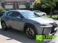 LEXUS UX Hybrid Executive