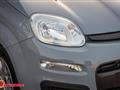 FIAT PANDA 1.2 Easy NEOPATENTATI