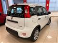 FIAT PANDA 1.0 FireFly S&S Hybrid SENZA FINANZIAMENTO