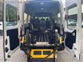 FIAT DUCATO OPEL MOVANO *9 POSTI **TRASPORTO DISABILI