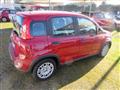 FIAT PANDA 1.0 FireFly S&S Hybrid Pandina