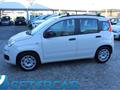 FIAT PANDA 1.2 Easy NEOPATENTATI