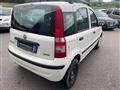 FIAT PANDA 1.2 Dynamic Natural Power METANO OK NEOPATENTATO