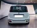 FIAT PANDA III 2021 Cross 1.0 firefly hybrid City Cross s&s 70cv 5p.ti