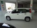 FIAT PANDA 1.3 MJT 95 CV S&S Easy