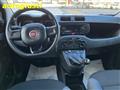 FIAT PANDA 1.2 Easy  70CV  ANCHE PER NEOPATENTATI