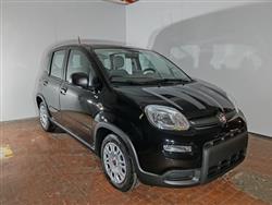 FIAT PANDA 1.0 Hybrid 70cv 36 Rate da 177,95