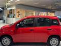 FIAT PANDA 1.2 Easy - NEOPATENTATO - UNICO PROPRIETARIO