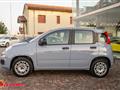 FIAT PANDA 1.2 Easy NEOPATENTATI