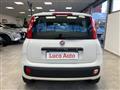 FIAT PANDA 1.2 69CV *UNICO PROP.*TAGLIANDI*OK NEOPAT.*