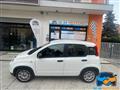 FIAT PANDA 1.0 Hybrid NEOPAT. GARANZIA