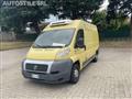 FIAT DUCATO 2.3 MJT 16V ***FRIGO  *Leggere DESCRIZIONE