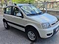 FIAT PANDA 1.3 D Multijet 4x4 Diesel