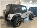 JEEP Wrangler 4.2 Texas Edition soft top