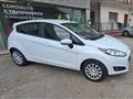 FORD Fiesta Plus 1.5 TDCi 75 CV 5p.