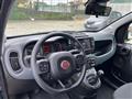 FIAT PANDA 1.0 FireFly S&S Hybrid City Cross -OK NEOPATENTATI