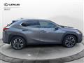 LEXUS UX Hybrid Executive