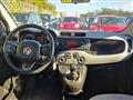 FIAT PANDA 1.2cc LOUNGE 69cv OK NEOPAT. BLUETOOTH/5POSTI/USB