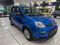 FIAT PANDA 1.0 FireFly S&S Hybrid con promo "PANERO PLUS"