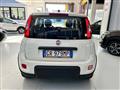 FIAT PANDA 1.2 GPL casa madre con promo "PANERO PLUS"