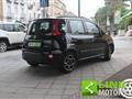 FIAT PANDA FIREFLY 1.0 70 CV S&S HYBRID SPORT