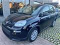 FIAT PANDA 1.0 FireFly S&S Hybrid +pack