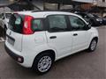 FIAT PANDA VAN 1.2 mY My Panda 69cv E6 - Per Neopat.