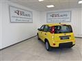 FIAT PANDA VAN N. 1.0 70cv Hybrid Panda