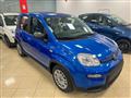 FIAT PANDA 1.0 FireFly S&S Hybrid PROMO CAR SERENITY