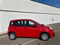 FIAT PANDA 1.3 MJT 80 CV S&S Easy