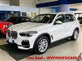 BMW X5 xDrive30d Business 265cv Iva Eposta