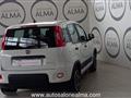 FIAT PANDA CROSS Panda Cross 1.0 FireFly S&S Hybrid