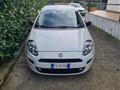 FIAT Punto 1.3 MJT II S&S 95 CV 5p. Street