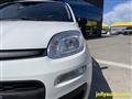 FIAT PANDA 1.0 FireFly S&S Hybrid OK NEOPATENTATI