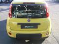 FIAT PANDA 1.0 FireFly S&S Hybrid Pandina