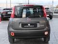 FIAT Panda 1.0 firefly hybrid s&s 70cv 5p.