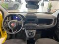 FIAT Panda 1.0 firefly hybrid s&s 70cv