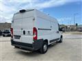 FIAT Ducato 35 MH2 3.0 CNG 136cv E6 Ducato 35 3.0 CNG PLM-TA Furgone